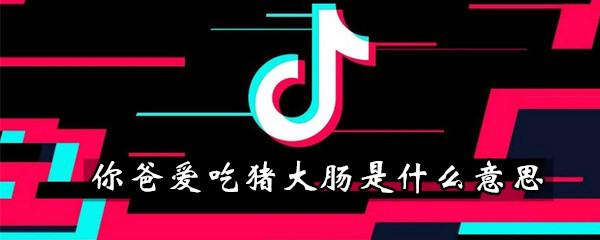  你爸爱吃猪大肠是什么意思