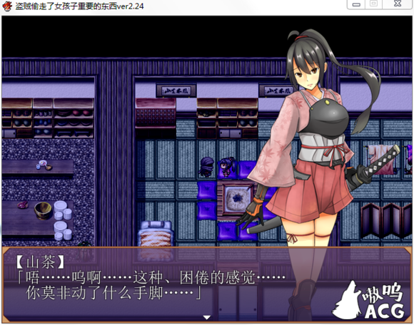 盗贼偷了女孩子重要rpg全cg版