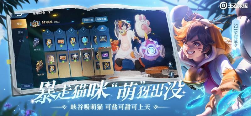 农药内透c13分身大师