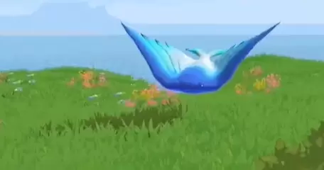 创造与魔法天空鳐在哪里捕捉