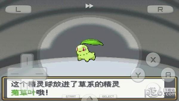 口袋妖怪心金NDS版