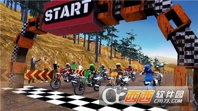 泥土路摩托车赛游戏（Dirt Track Bike Racing）
