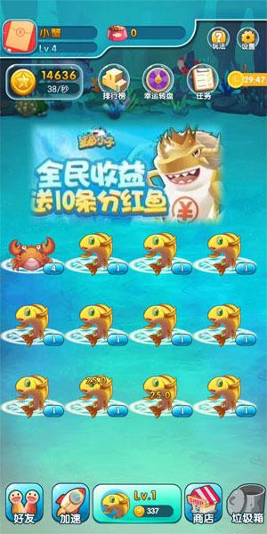 鲨鱼小子