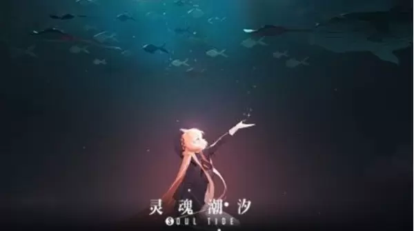 灵魂潮汐艾妮斯适合什么位置?
