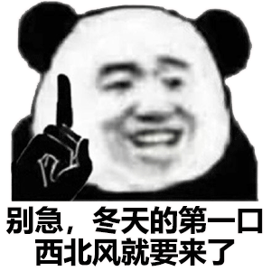 菜鸟下载3