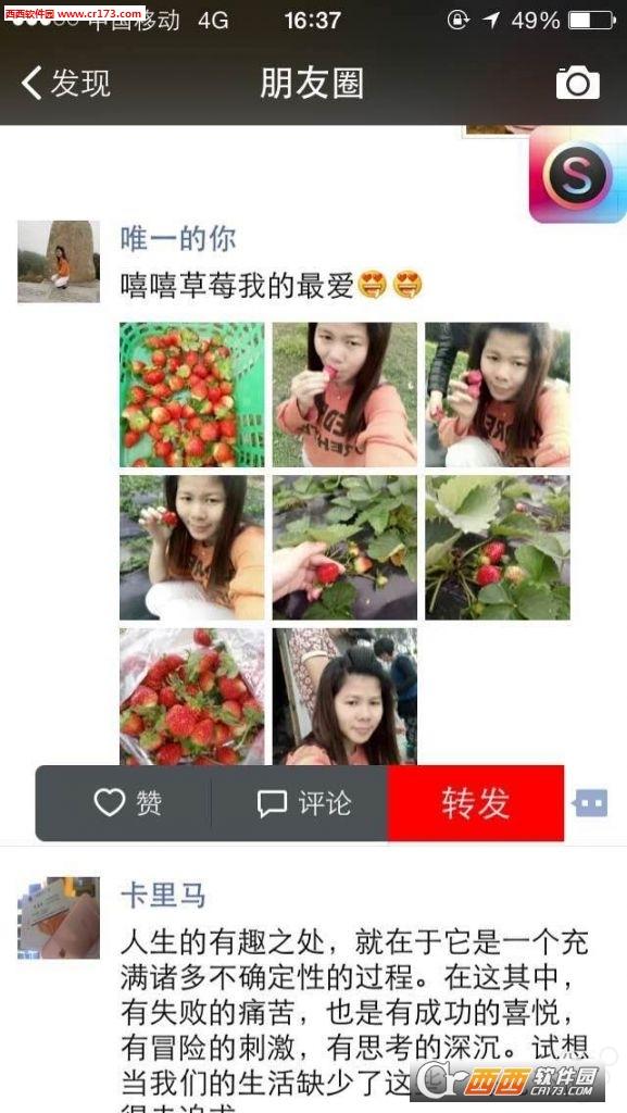 裴逸哥微信一键转发工具