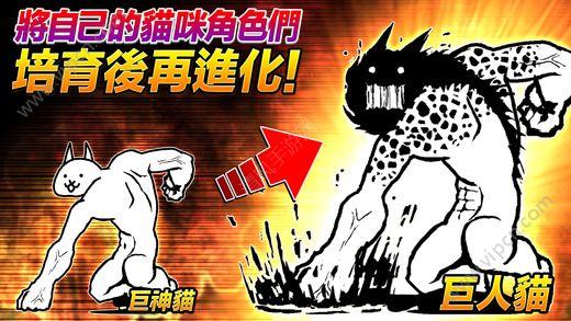 猫咪大战争