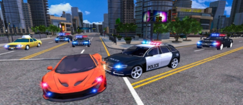 公路抓捕警察模拟 