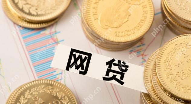 安逸花50000一天利息 安逸花大额借款利息示例