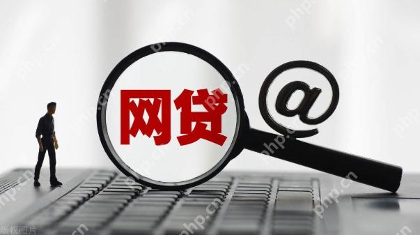 安逸花50000一天利息 安逸花大额借款利息示例