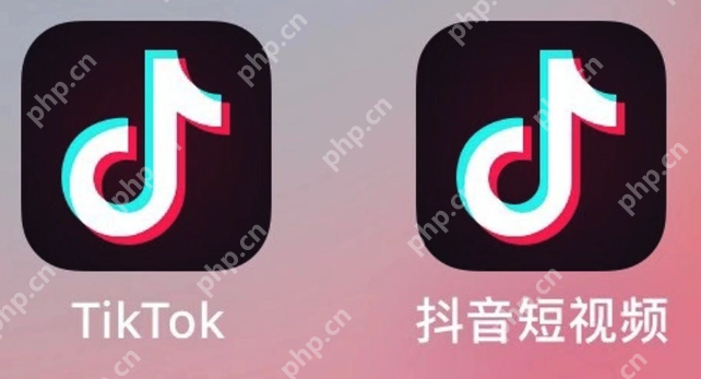 2025现在最火的软件TOP10榜单汇总(最近更新) - 菜鸟下载