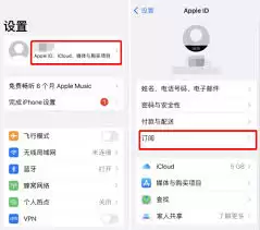 第三方支付平台检查示意图